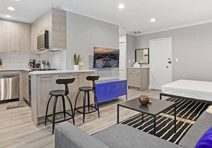 OD2 Sophisticated Studio Apartment w/ Modern Kitchen in Chicago