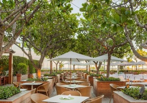 Rare Find! 3 Amazing Units, 2 Pools, Bar, Mini-Market, Gift Shop in Honolulu