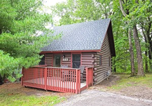 Vivacious Christmas Mountain Village, 2 Bedroom Cabin in Wisonsin Dells