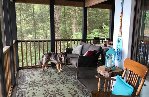 Lake of Bays Cabin | Explore a Unique Off-Grid Waterfront Yurt Getaway on 11 Private Acres!