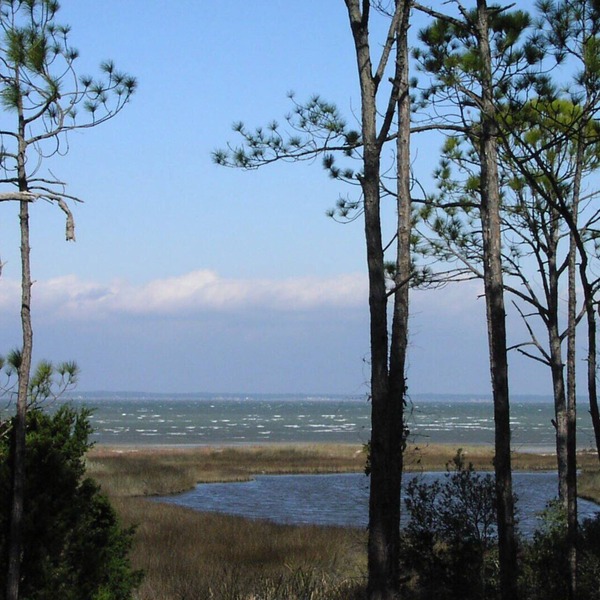 Heron Now Panoramic Bayfront Only 1.5 Blocks From Nationally Ranked Gulf Beach