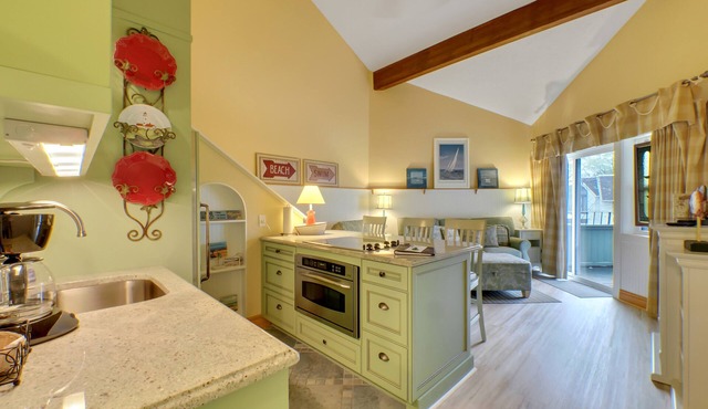 202 Pointes North | Bridge View | Downtown Charlevoix | Indoor/Outdoor Pool in Charlevoix