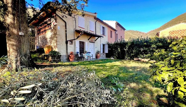 Authentic and Peaceful Tuscan Cottage Among Olive Trees - Between Lucca and Pisa in Lucca