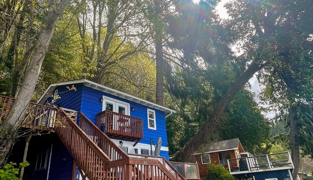 Beach view getaway with deck, gas grill, firepit and W/D in Vashon