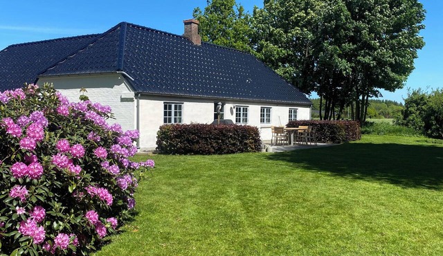 Beautiful vacation home near Legoland and Ribe in Føvling