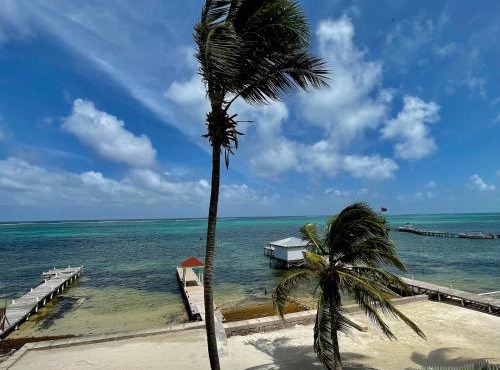 Belizian Reef Suites in San Pedro