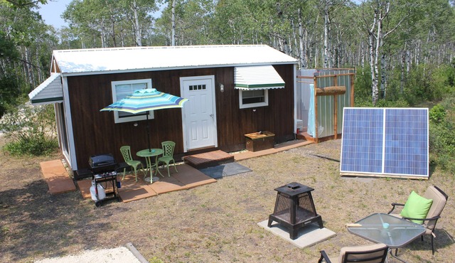 Blue Owl Tiny house in Gimli