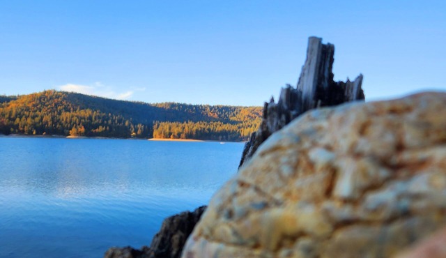 Cascade Caravan in the Sierra Foothills and within minutes of Scott's Flat Lake. in Nevada City