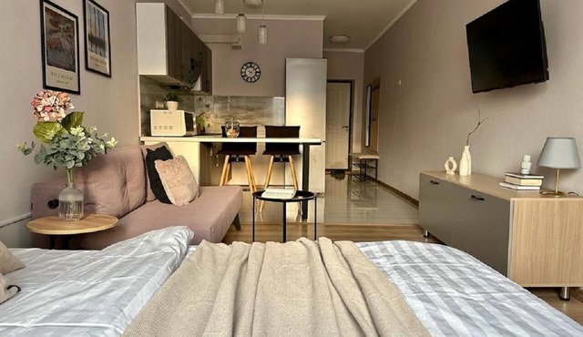 Charming studio Merenga in wonderful Almaty with WiFi, AC in Almaty