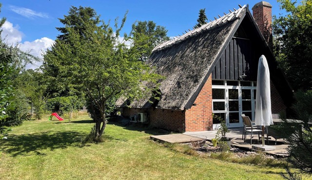 Charming thatched cottage near the water in Vordingborg