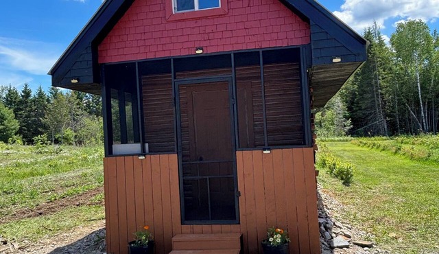 Cozy cedar log cabin in the highlands in Algonquin Highlands