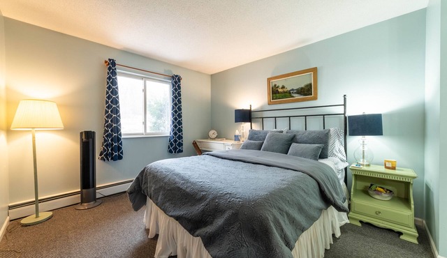 Cozy in Walloon Village in Walloon Lake