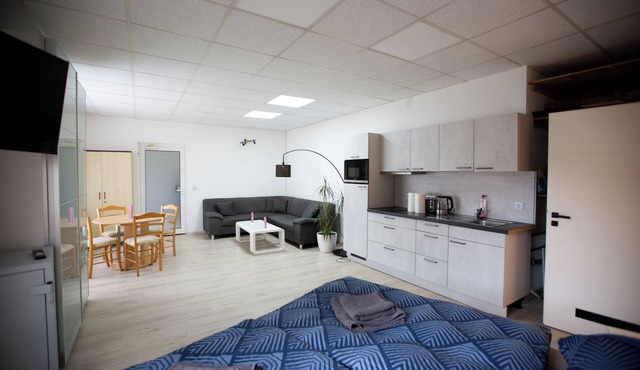 Deluxe Double Studio with kitchen line, bathroom, Shower, Toilet & king bed in Rudolstadt