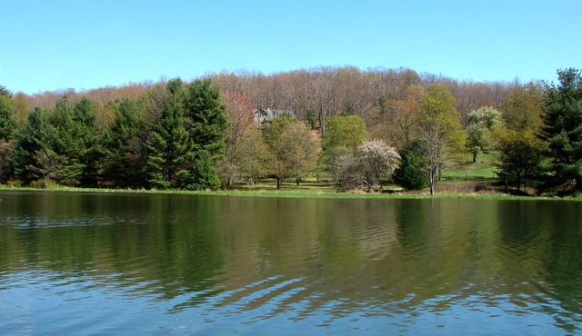 Dog Friendly Retreat w/Deck & Meadow Views in Swanton