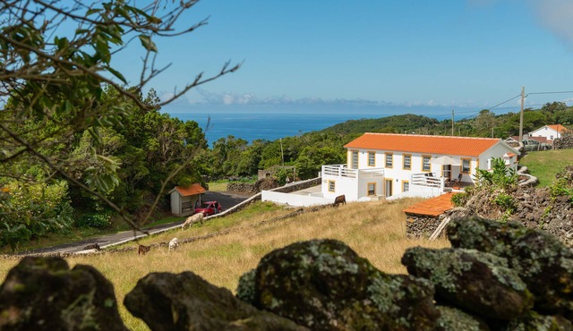 Figueirinha House T2 for 4 people in Calheta de Nesquim