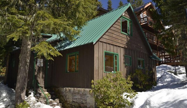 Heart of village! Knotty pine cabin located on a creek. in Government Camp