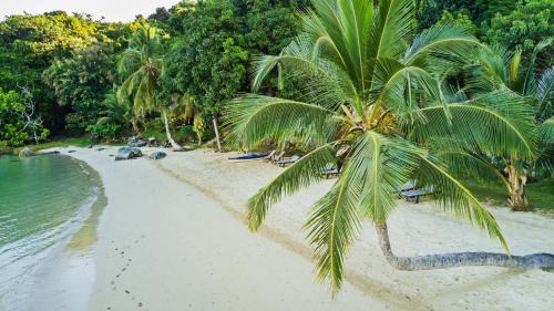 Komba Forever in Nosy Komba