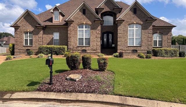 Luxury Family Friendly, 3 Br's, 3.5 BA , free parking, backyard with AC, WiFi in Jackson