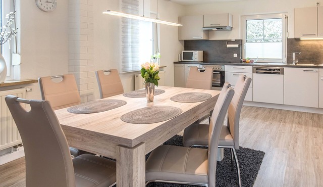 Modern furnished apartment in the green heart of Lower Franconia in Leinach