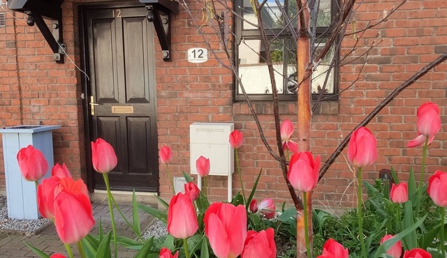Quiet gated Townhouse within walking distance to all attractions in Dublin 8