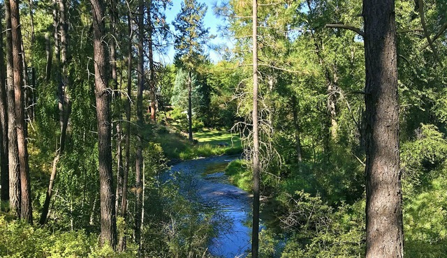 RIVER PARK HOME with GARAGE & EV CHARGER, Spa, Home Theatre + Arcade, 3,000 SqFt in Spokane