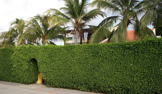 Secure And Private Villa With Pool/Hot Tub Jacuzzi In Palm Beach Village in Palm Beach Village