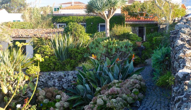 Spacious, generously furnished house in a row of ancient fishermen’s houses in Ponta Delgada