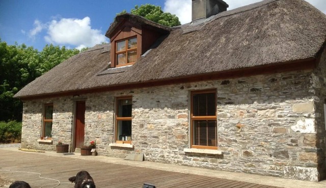 Thatched Cottage Stud along the Wild Atlantic Way in Kilrush
