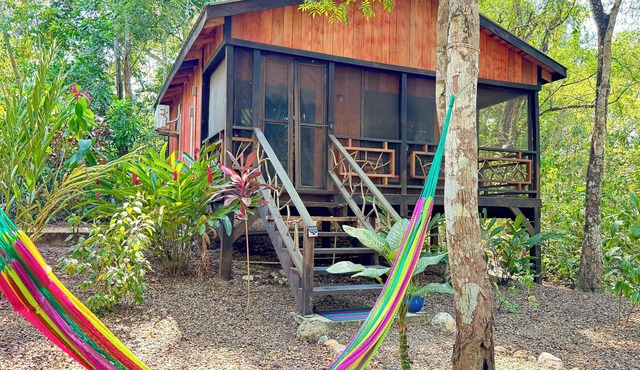Toucan at Lost Compass Cabanas in San Ignacio