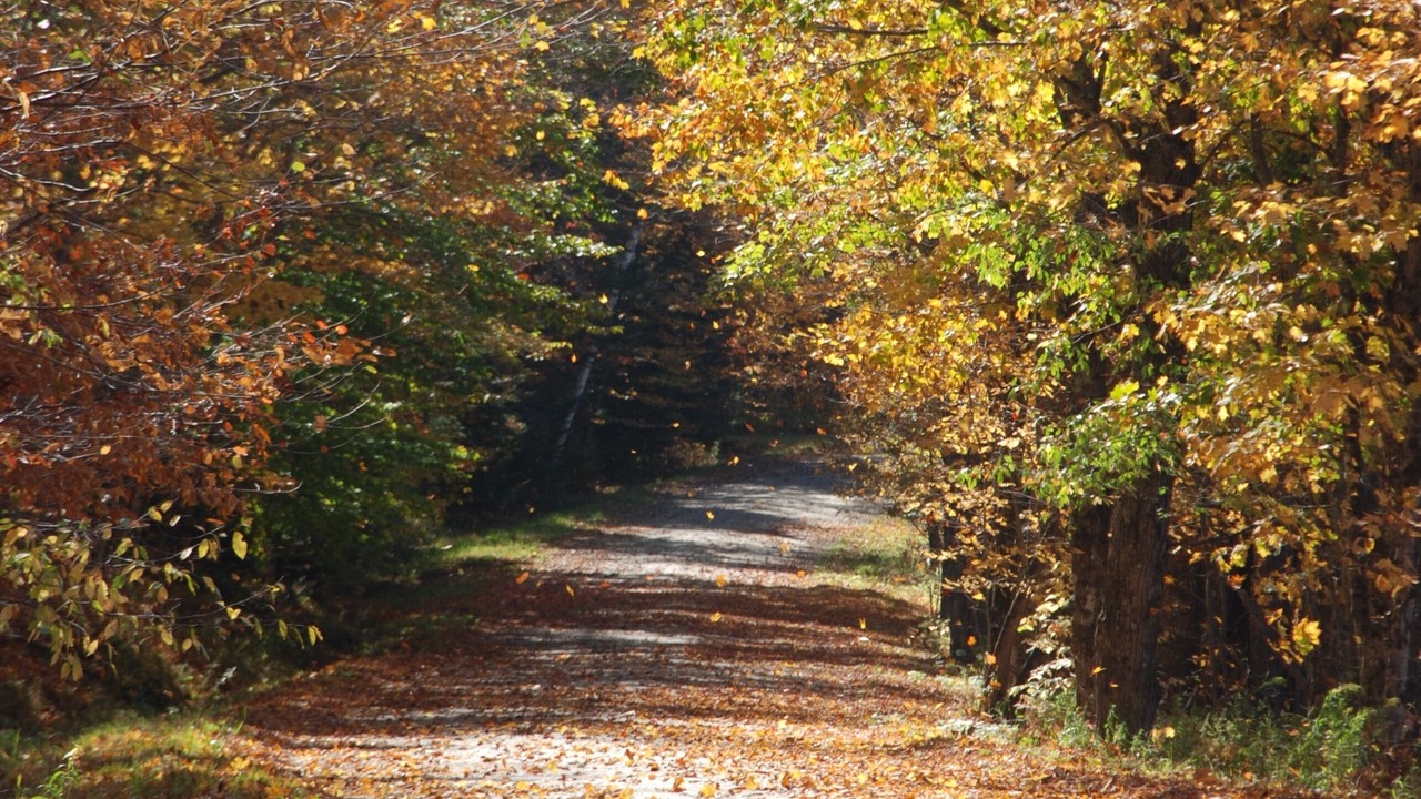 Photo of Outdoor in Granville