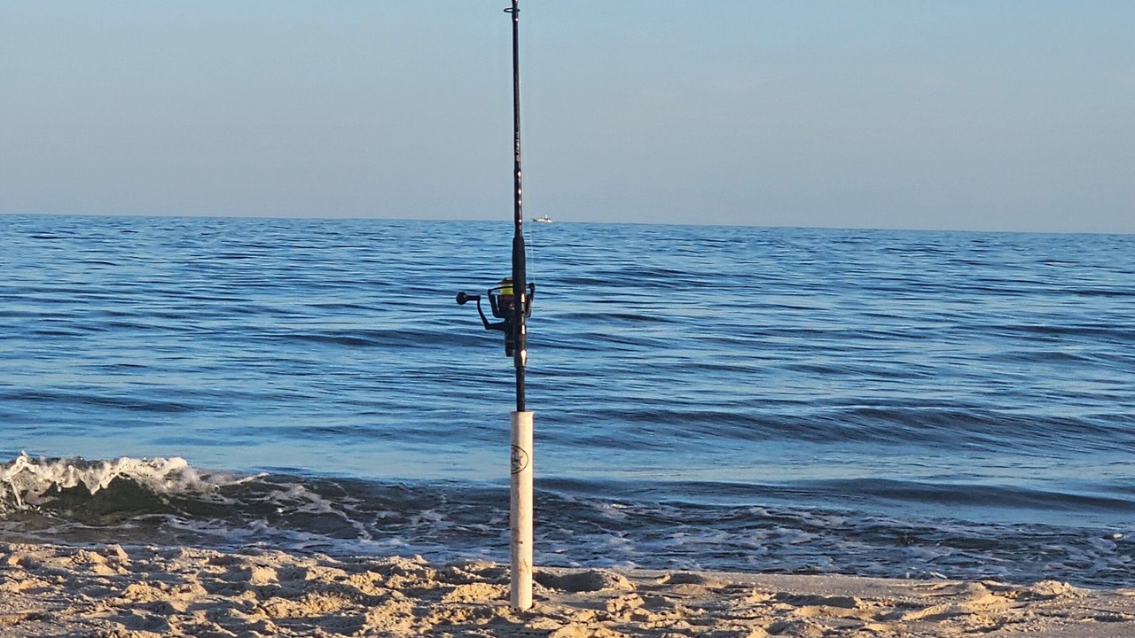 Photo of Others in St. George Island