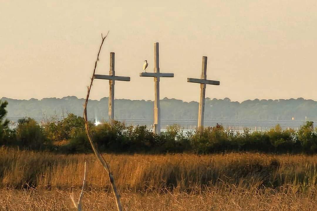 Photo of Others in St. George Island