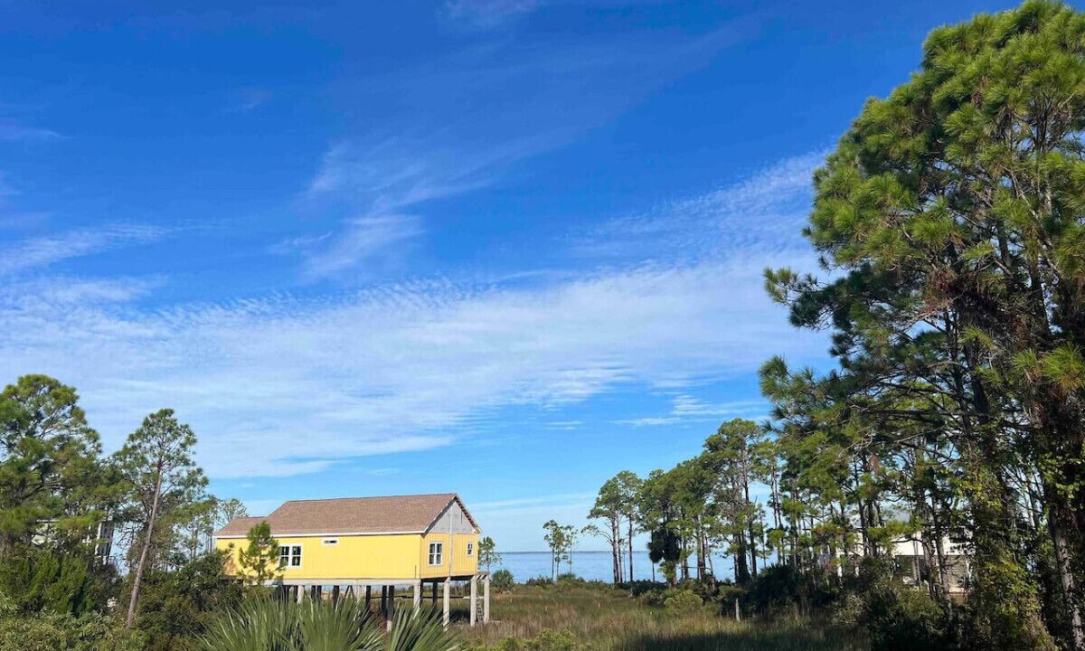 Photo of Others in St. George Island