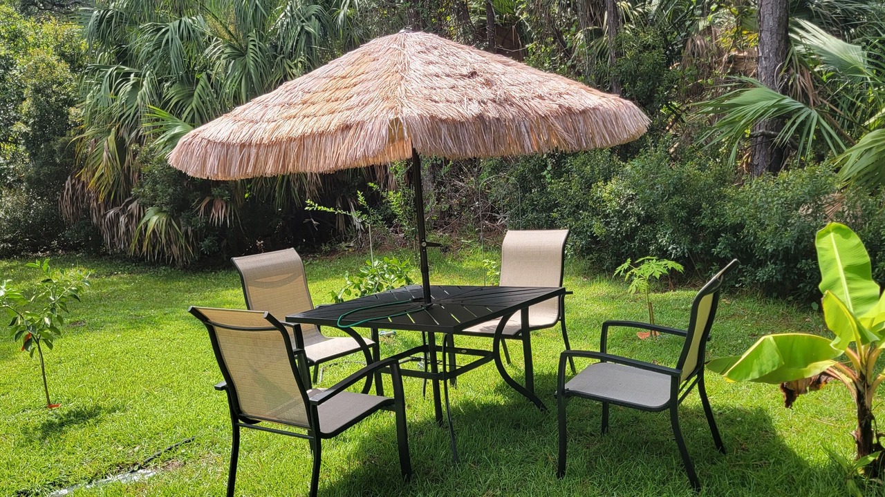 Photo of Outdoor in St. George Island