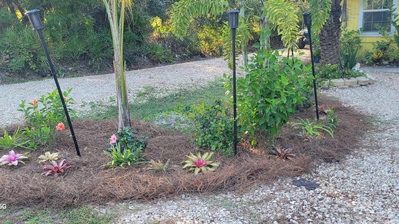 Photo of Outdoor in St. George Island
