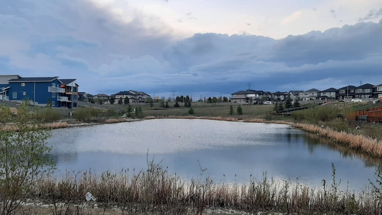 Photo of Others in Northeast Edmonton