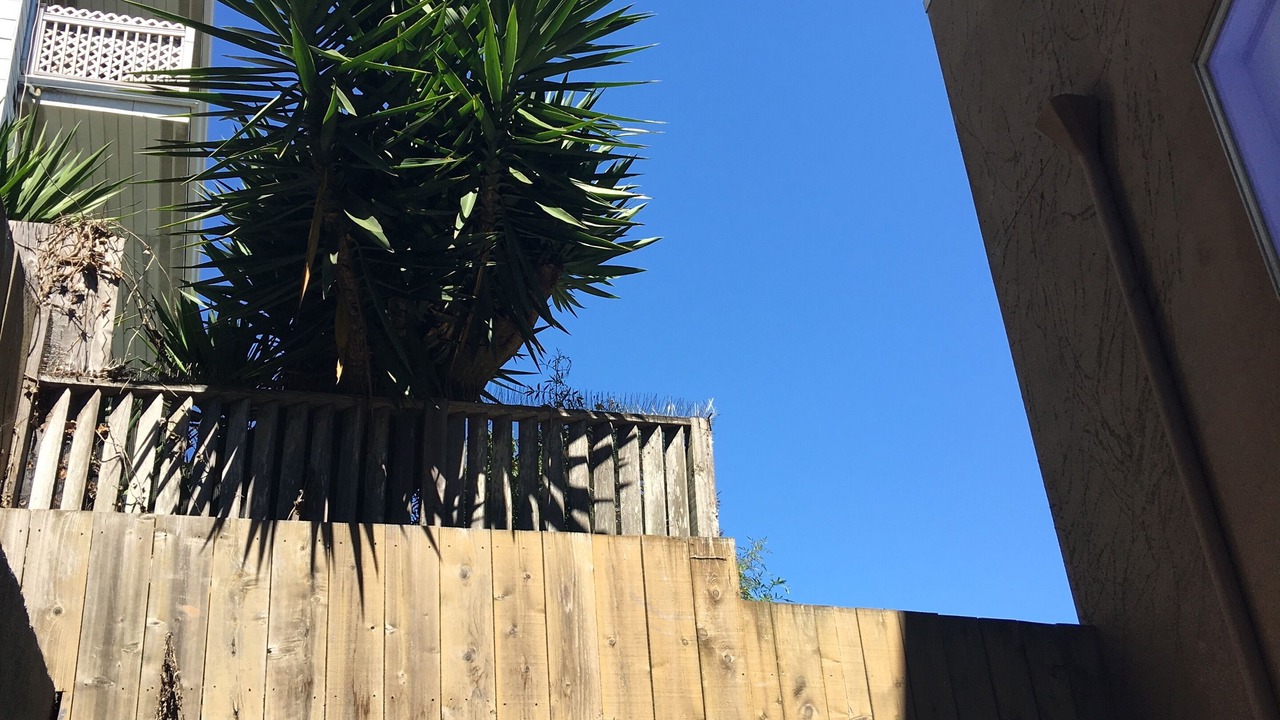 Photo of Outdoor in San Francisco