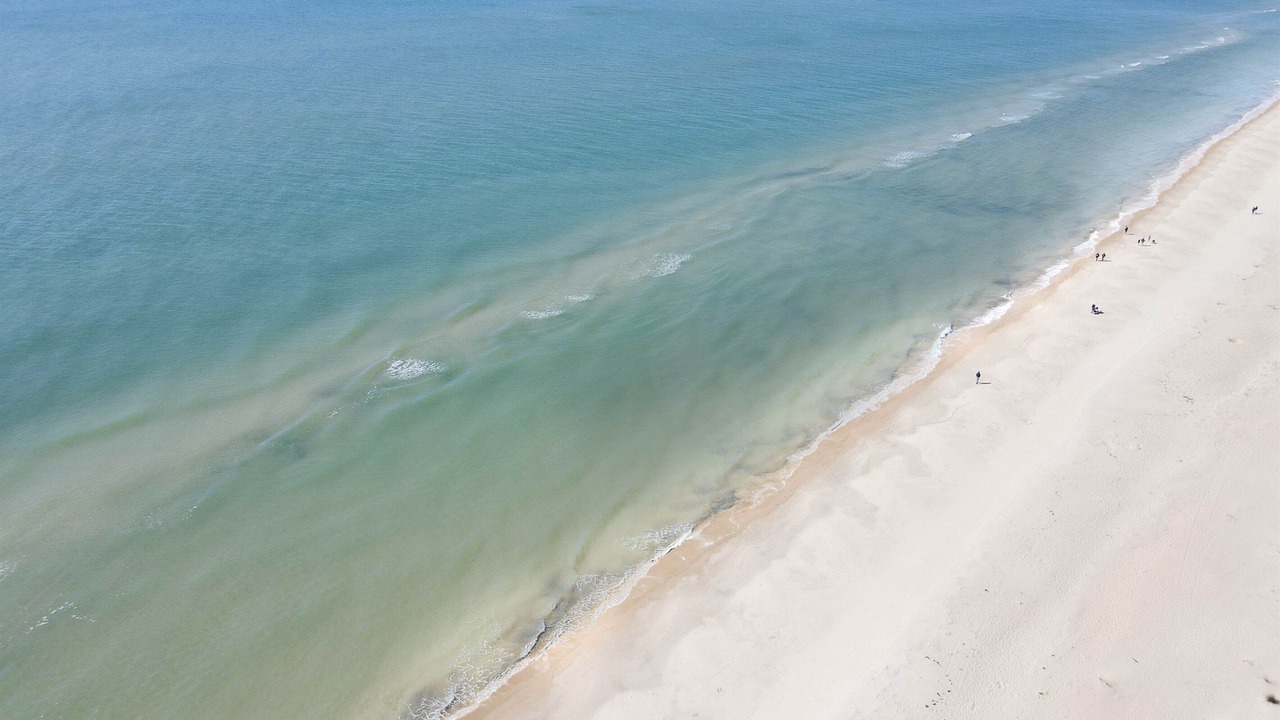Photo of Others in St. George Island
