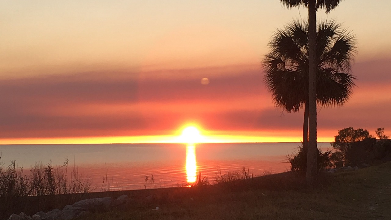 Photo of Others in St. George Island