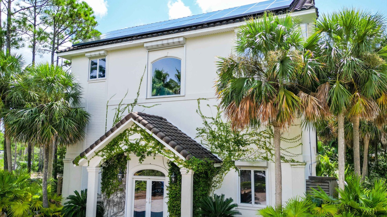 Photo of Outdoor in Plantation
