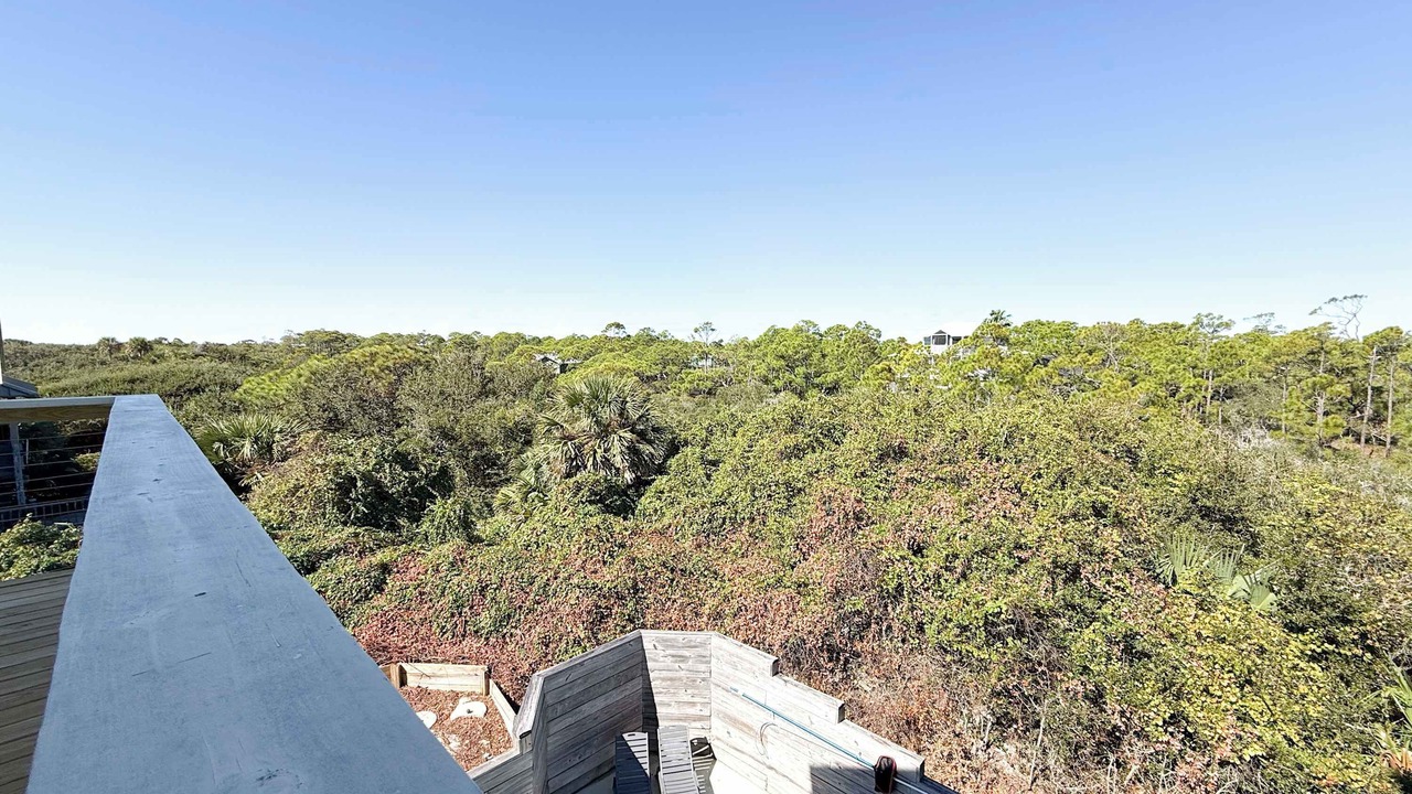 Photo of Outdoor in Plantation