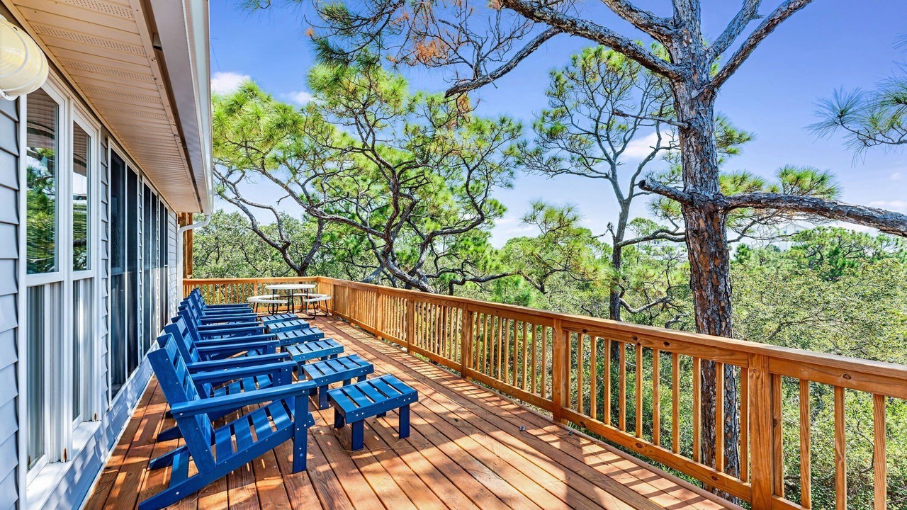 Photo of Outdoor in Plantation