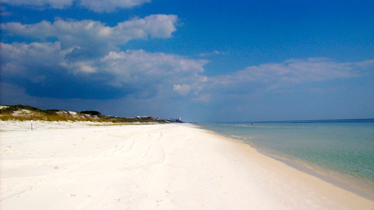 Photo of Others in St. George Island