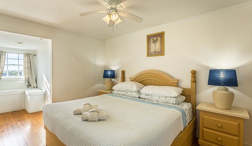 Basic Suite