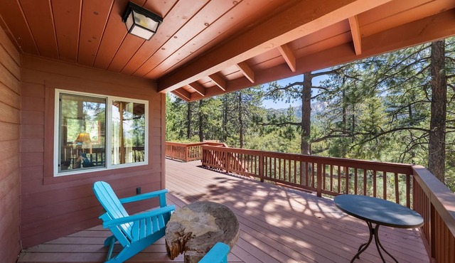 Mountain View: Gorgeous Views, AC, Jacuzzi bathtub! in Idyllwild
